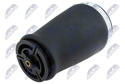 Pneimoatspere, Balstiekārta NTY EZC-BM-316