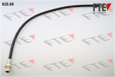 Тормозной шланг FTE 9741121