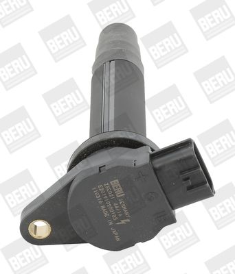 Катушка зажигания BorgWarner (BERU) ZSE021