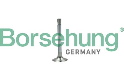 Выпускной клапан BORSEHUNG B19003