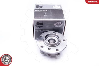Комплект подшипника ступицы колеса ESEN SKV 29SKV173