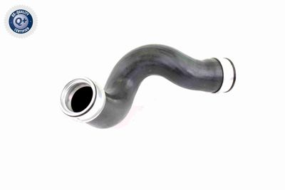 Pūtes sistēmas gaisa caurule VAICO V103815