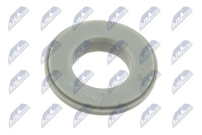 Ritgultnis, Amortizatora statnes balsts NTY AD-MZ-041