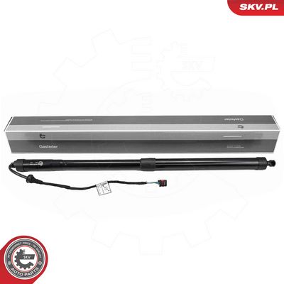 Электромотор, задняя дверь ESEN SKV 52SKV266