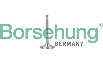 Izplūdes vārsts BORSEHUNG B19001