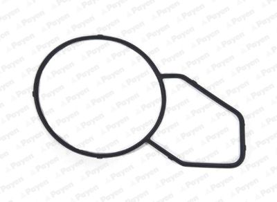 Прокладка, корпус термостата PAYEN KK5744