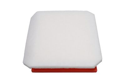 Воздушный фильтр KAVO PARTS FAF-10368