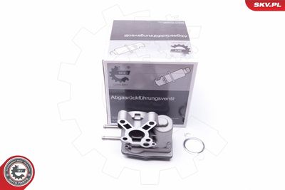 Клапан возврата ОГ ESEN SKV 14SKV103