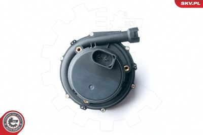 Насос дополнительного воздуха ESEN SKV 96SKV201