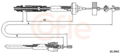 Trose, Sajūga pievads COFLE 92.10.2962