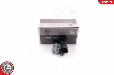 Сопротивление, вентилятор салона ESEN SKV 94SKV002