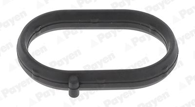 Blīve, Ieplūdes kolektors PAYEN JA5008