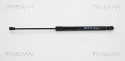 Gāzes atspere, Bagāžas/Kravas nodalījuma vāks TRISCAN 8710 66206