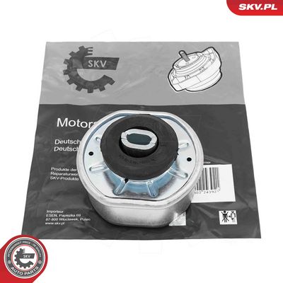 Piekare, Dzinējs ESEN SKV 75SKV186