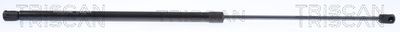Gāzes atspere, Motora pārsegs TRISCAN 871 023 137