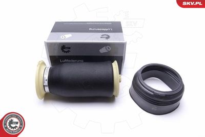 Pneimoatspere, Balstiekārta ESEN SKV 58SKV054