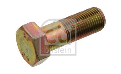 Skrūve, piedziņas vārpstas atloks FEBI BILSTEIN 06603