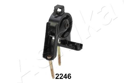 Piekare, Dzinējs ASHIKA GOM-2246