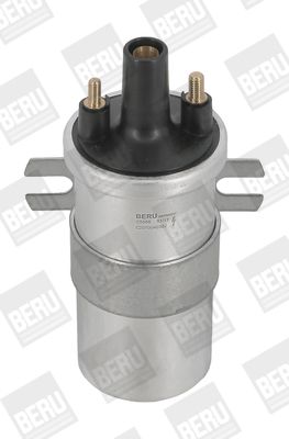 Катушка зажигания BorgWarner (BERU) ZS566