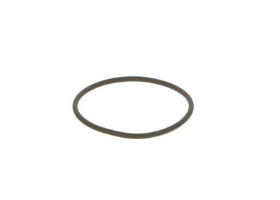 Уплотнительное кольцо BOSCH F 00N 201 306