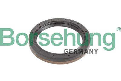 Vārpstas blīvgredzens, Meh. pārnesumkārbas flancis BORSEHUNG B12193