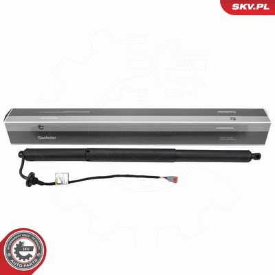 Электромотор, задняя дверь ESEN SKV 52SKV278