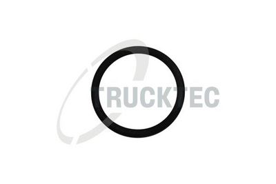 TRUCKTEC AUTOMOTIVE 0810093 Blīvgredzens