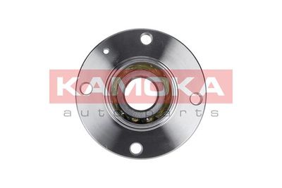 Комплект подшипника ступицы колеса KAMOKA 5500040
