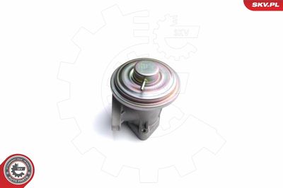 Клапан возврата ОГ ESEN SKV 14SKV098