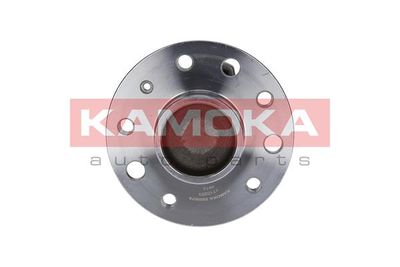 Комплект подшипника ступицы колеса KAMOKA 5500078