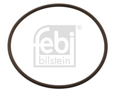 Blīvgredzens, Dzesēšanas šķidruma cauruļvads FEBI BILSTEIN 104848