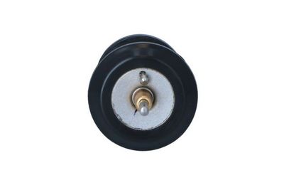 Термостат, охлаждающая жидкость NRF 725250