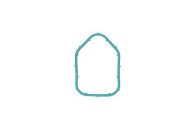 Прокладка, впускной коллектор KAMOKA 8704260