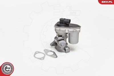 Клапан возврата ОГ ESEN SKV 14SKV038