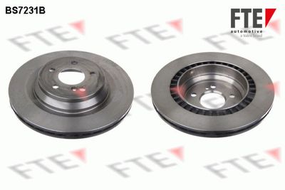 Bremžu diski FTE 9081188