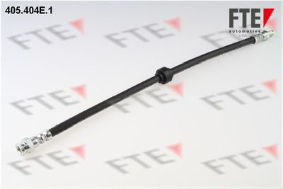 Тормозной шланг FTE 9240242
