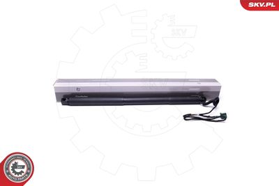 Электромотор, задняя дверь ESEN SKV 52SKV921