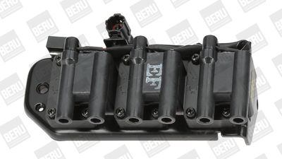 Катушка зажигания BorgWarner (BERU) ZS269
