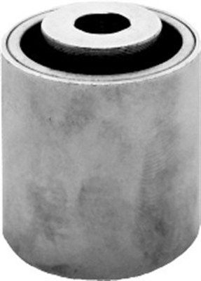 Parazīt-/Vadrullītis, Zobsiksna MAGNETI MARELLI 331316170199
