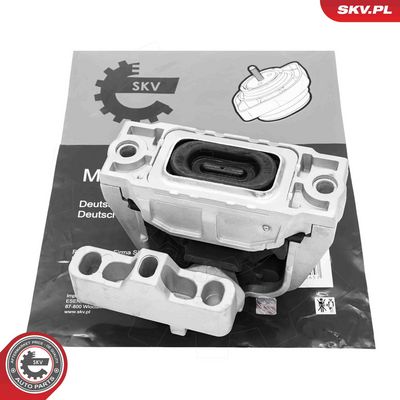 Piekare, Dzinējs ESEN SKV 75SKV253