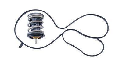 Termostats, Dzesēšanas šķidrums MAHLE TX 489 97D