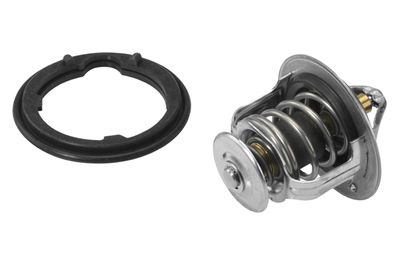 Termostats, Dzesēšanas šķidrums BorgWarner (Wahler) 410224.82D