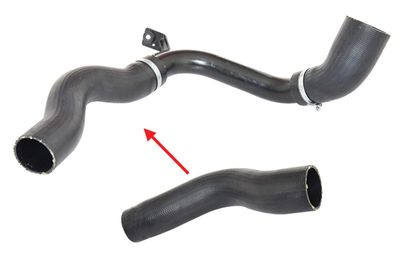 Pūtes sistēmas gaisa caurule BUGIAD 88413