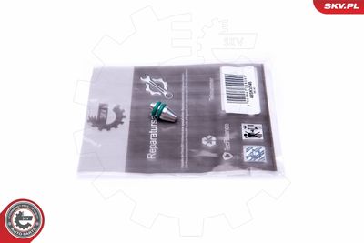 Ремкомплект, модуль впускного коллектора ESEN SKV 49SKV546