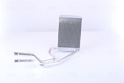 Siltummainis, Salona apsilde NISSENS 71765