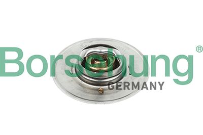 Termostats, Dzesēšanas šķidrums BORSEHUNG B18247