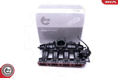 Модуль впускной трубы ESEN SKV 49SKV003