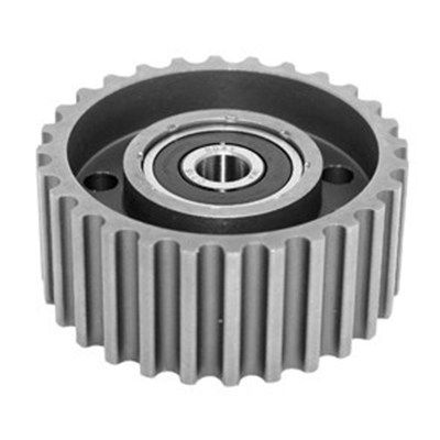 Parazīt-/Vadrullītis, Zobsiksna MAGNETI MARELLI 331316170481