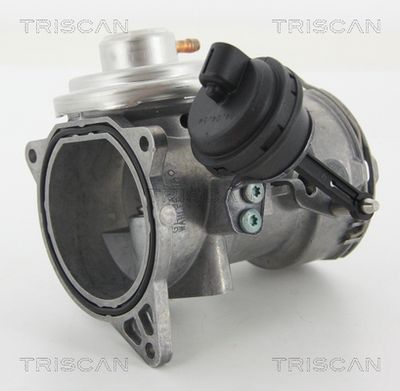 Клапан возврата ОГ TRISCAN 8813 29070