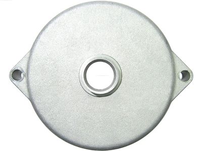 Крышка стартера, карбюратор AS-PL SBR0048